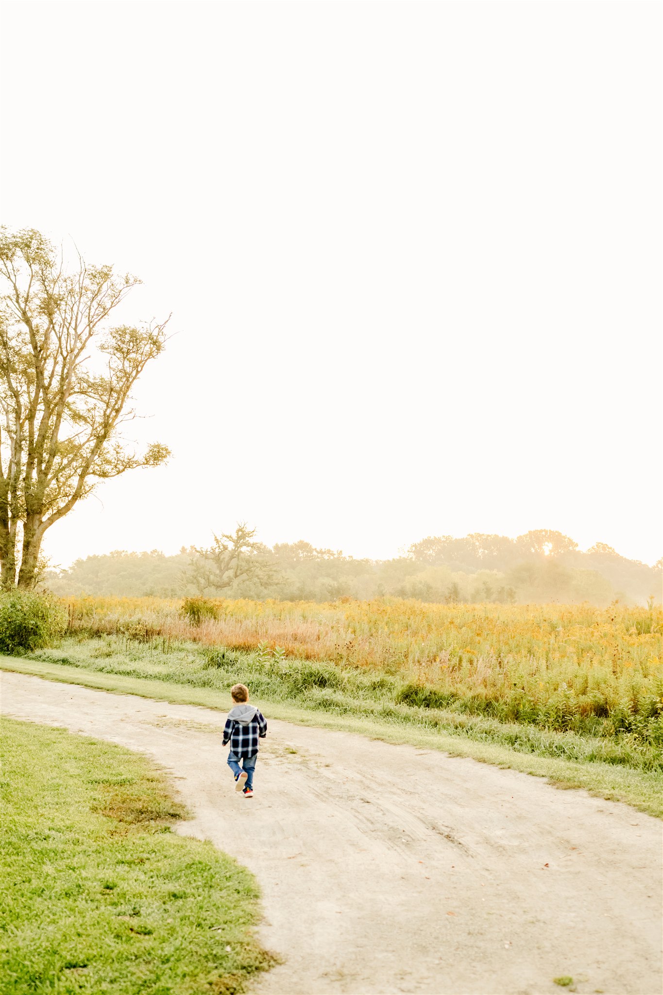 A toddler boy in flannel runs in a park trail at sunset after visiting Naperville playgrounds