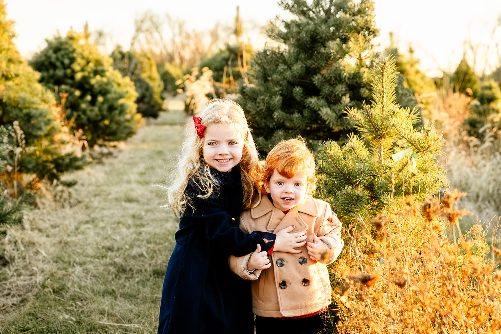 A toddler girl in a blue dress hugs her younger sibling in a tan coat in a christmas tree farm at sunset