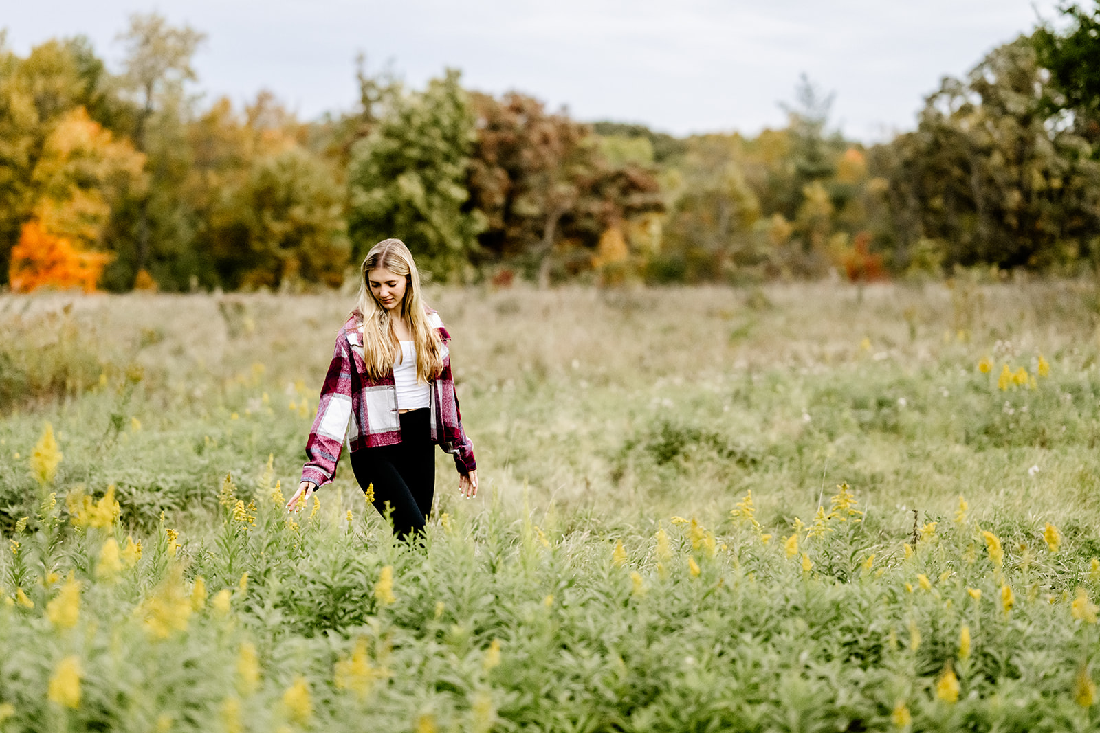 A high school senior in a plaid sweater walks in tall grass with yellow flowers at sunset after attending private catholic schools in Chicago