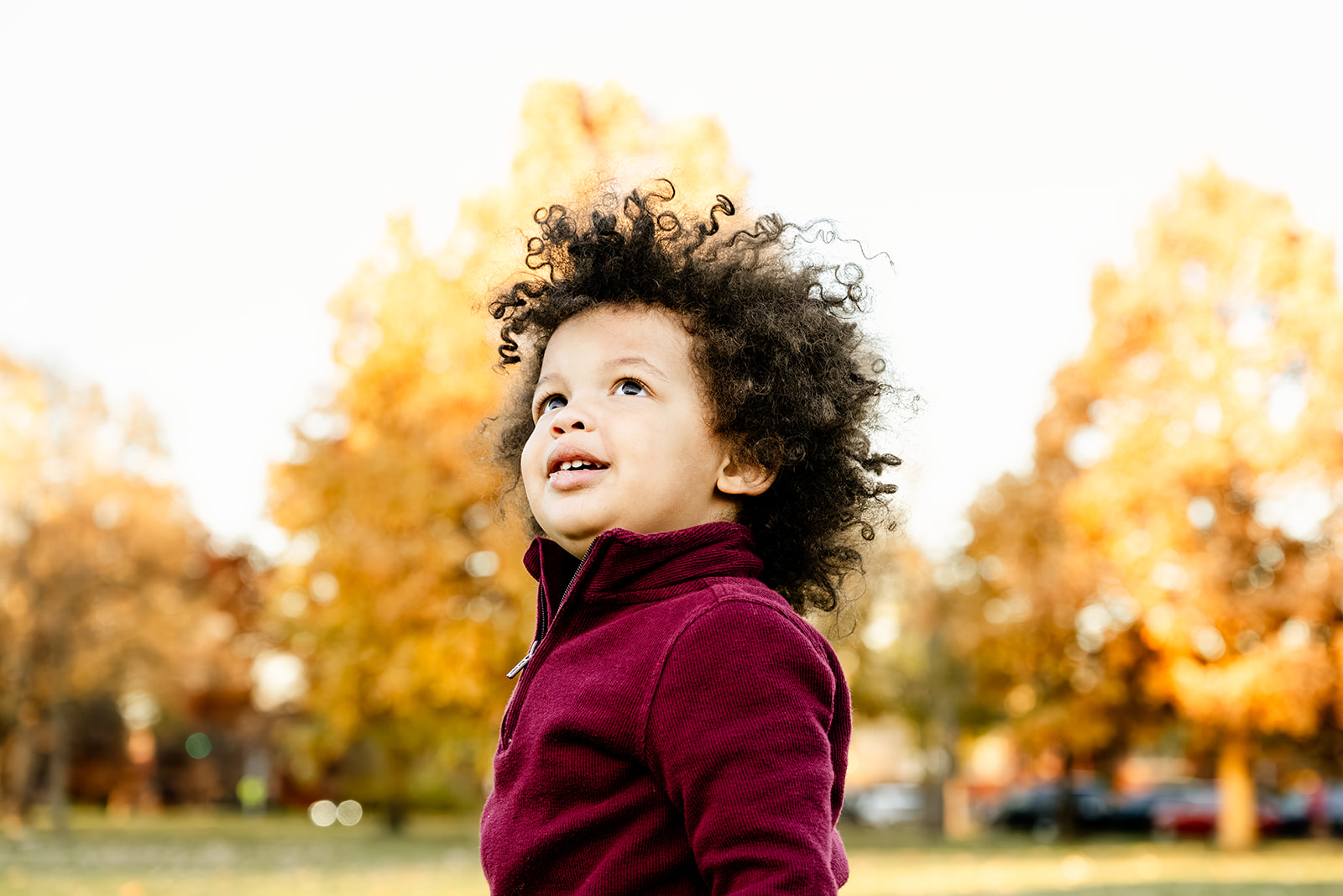 A young child looks around them while exploring a park at sunset in a red sweater before finding kid-friendly restaurants in North Shore Chicago
