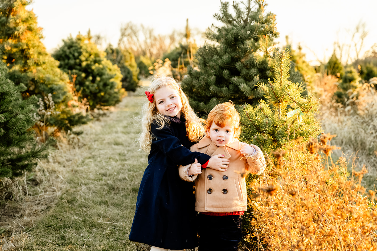 A young girl in a blue coat hugs her happy younger brother in a christmas tree farm at sunset