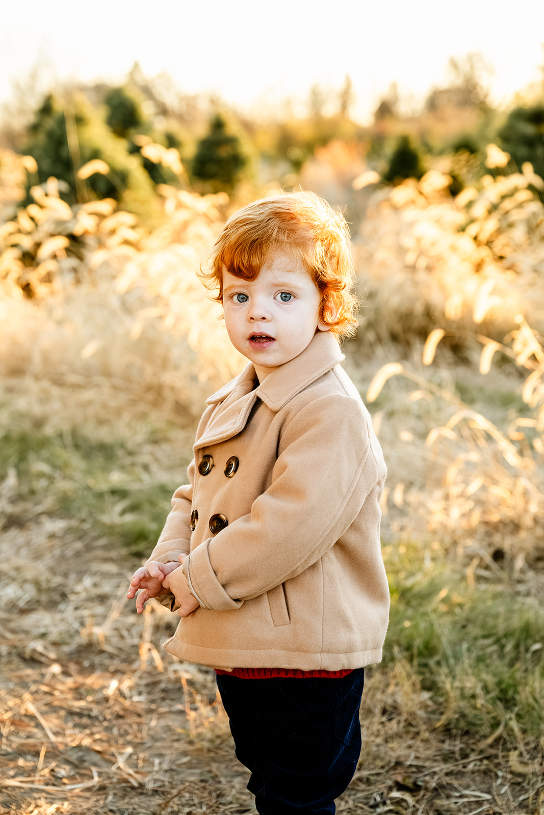 A toddler red haired boy in a tan coat looks over his shoulder while standing in a field of tall golden grass at sunset after finding preschools in North Shore