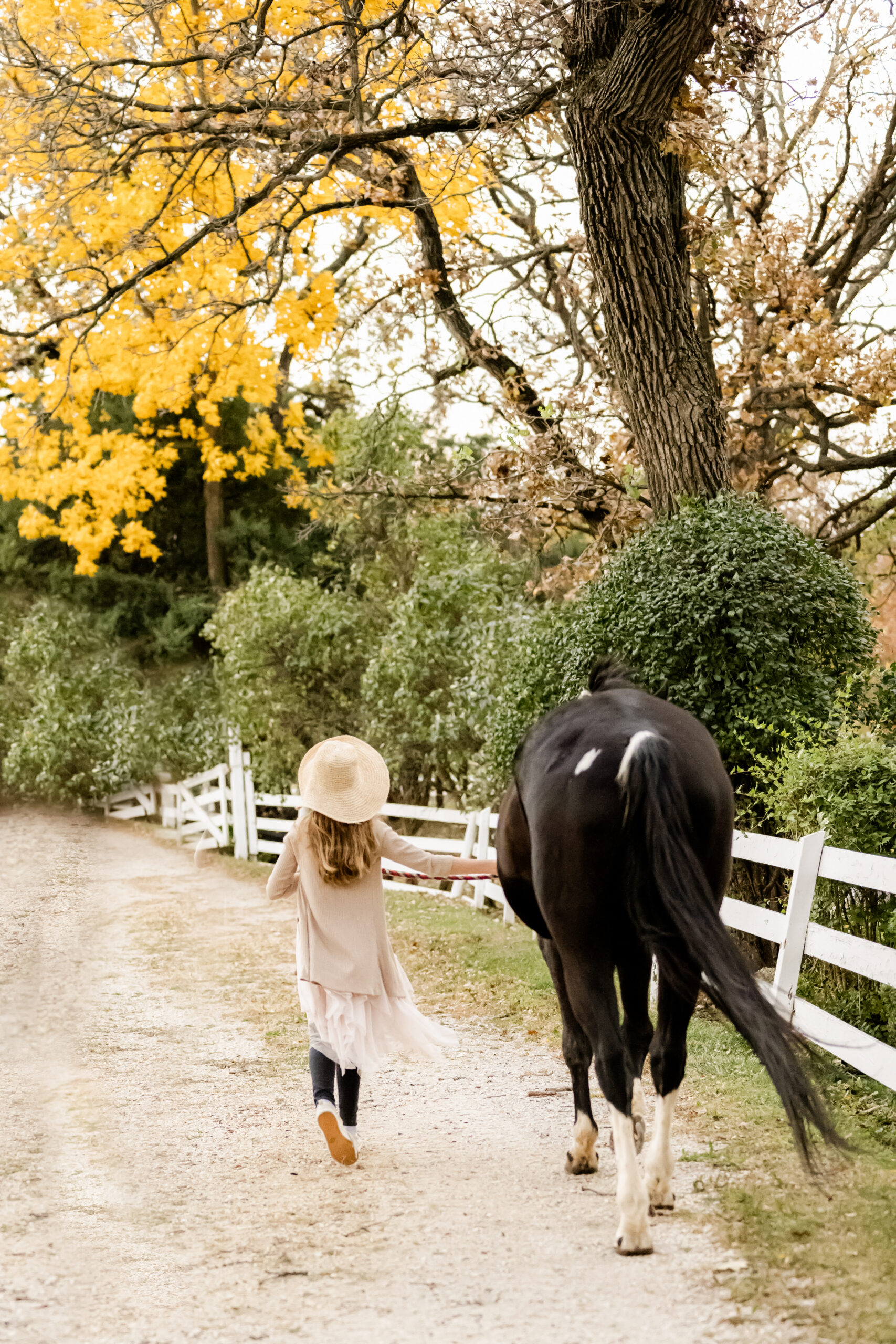 A young girl in a tan sweater walks her horse on a path after some horseback riding lessons in naperville
