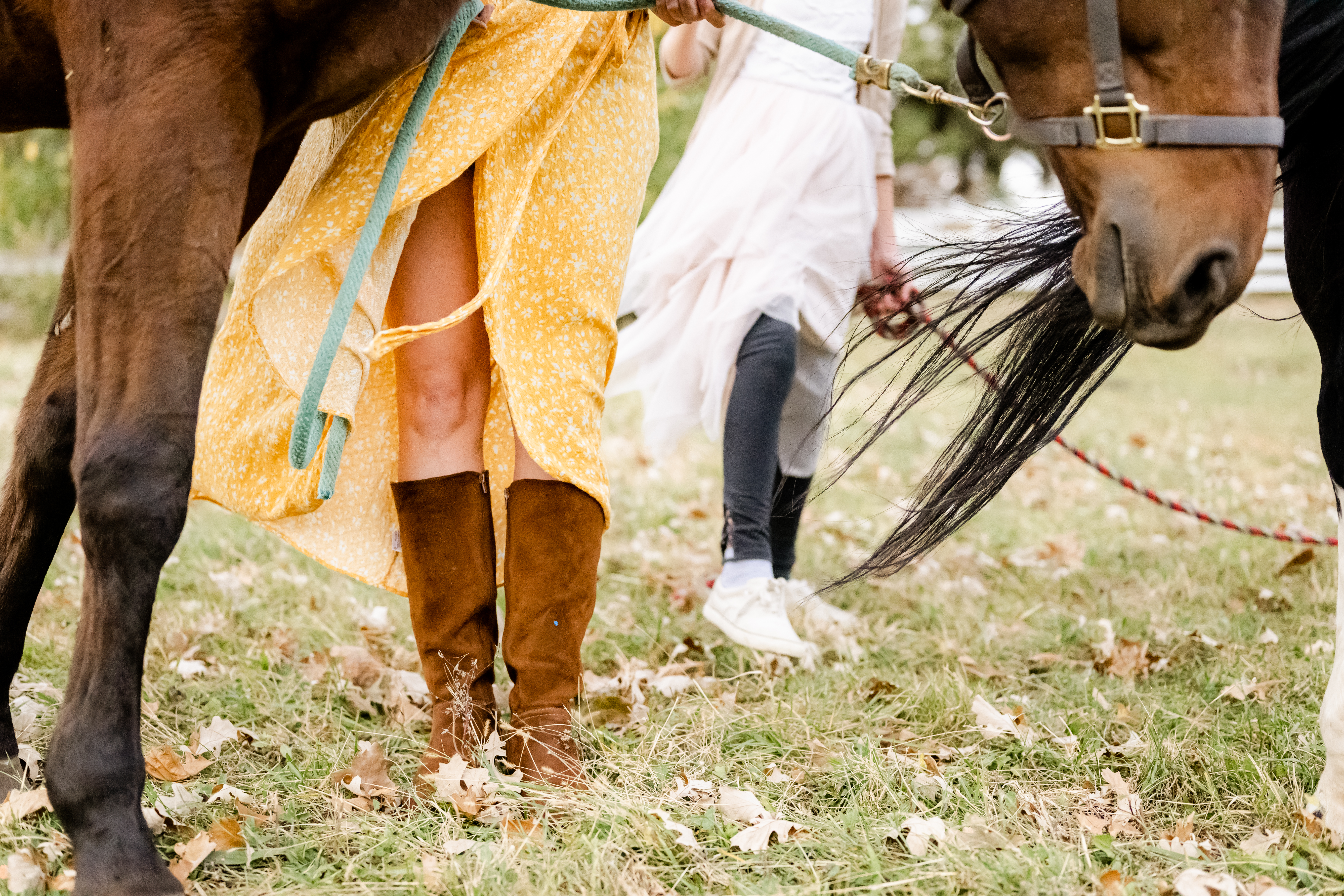 Details of legs of two girls with horses
